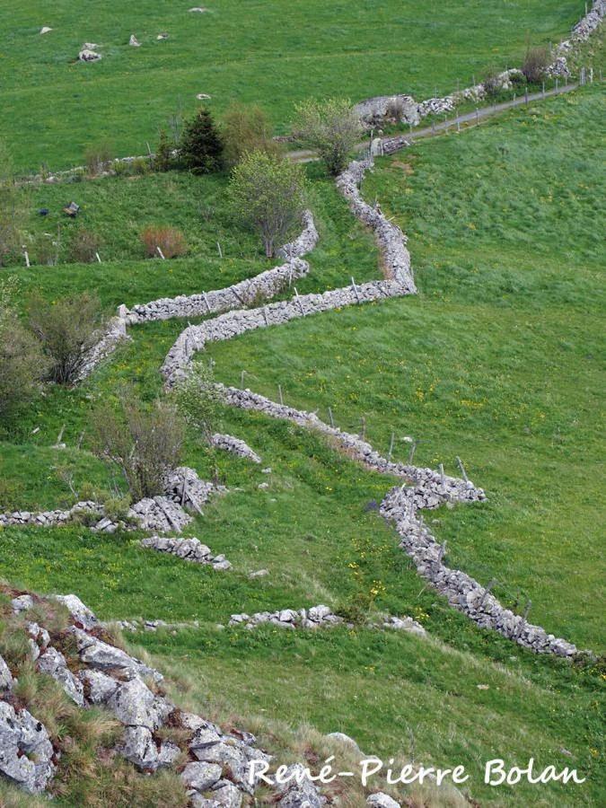 Gites Basques Laguiole Bagian luar foto
